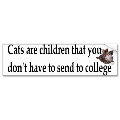 CATS ARE CHILDREN